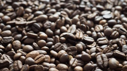 Fresh coffee beans ready for the cafe Stock Footage 116631416
