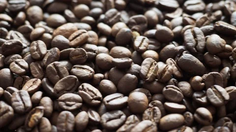 Fresh coffee beans ready for the cafe Stock Footage 116632483