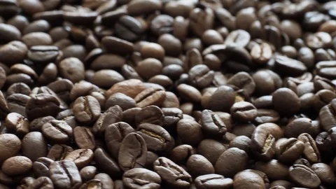 Fresh coffee beans ready for the cafe Stock Footage 116632984
