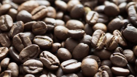 Fresh coffee beans ready for the cafe Stock Footage 116632994