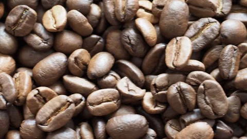 Fresh coffee beans ready for the cafe Stock Footage 116638283