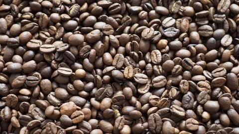 Fresh coffee beans ready for the cafe Stock Footage 116639423