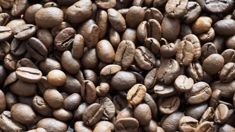 Fresh coffee beans ready for the cafe Stock Footage 116639518