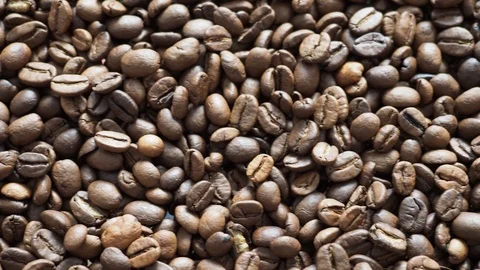 Fresh coffee beans ready for the cafe Stock Footage 116639522