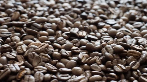 Fresh coffee beans ready for the cafe Stock Footage 116651366