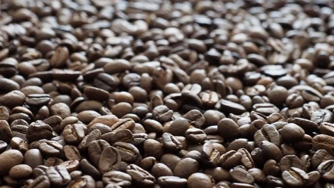 Fresh coffee beans ready for the cafe Stock Footage 116651877