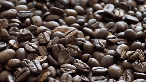 Fresh coffee beans ready for the cafe Stock Footage 116652055