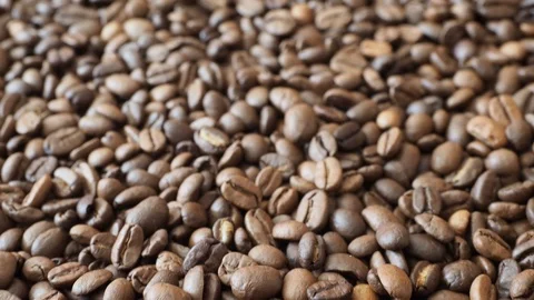 Fresh coffee beans ready for the cafe Stock Footage 116652218