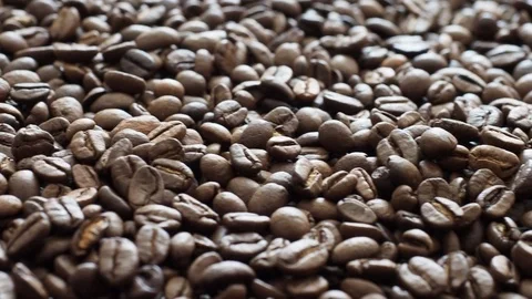 Fresh coffee beans ready for the cafe Stock Footage 116652395