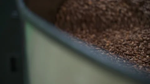 Fresh coffee beans roasting and cooling with using metal equipment in modern Stock Footage 163816945