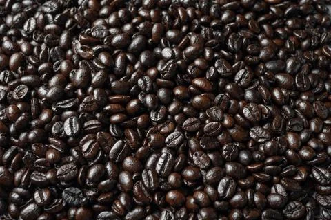 Fresh coffee beans seed, texture background, full wallpaper. Stock Photos