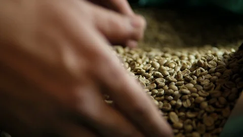 Fresh coffee beans sprinkle through hands, side view Stock Footage 129401025