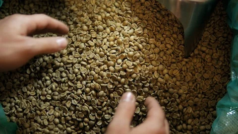 Fresh coffee beans sprinkle through hands, top view Stock Footage 129401052