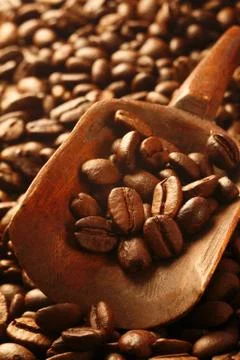 Fresh coffee beans, a valuable commodity Stock Photos