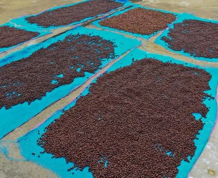 Fresh coffee Stock Photos