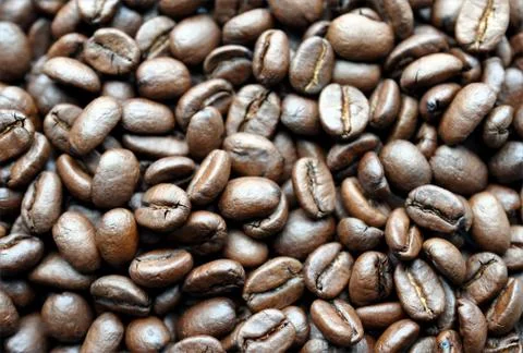Fresh coffee Stock Photos