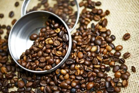 Fresh coffee testing Foto stock