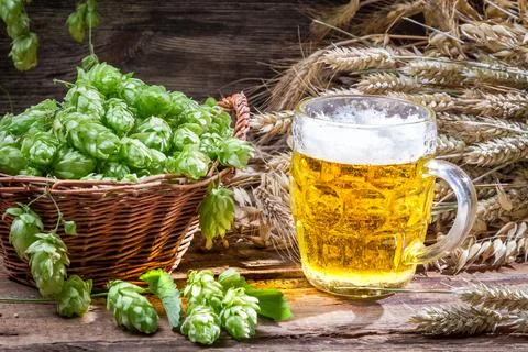 Fresh cold beer with a large foam 写真素材