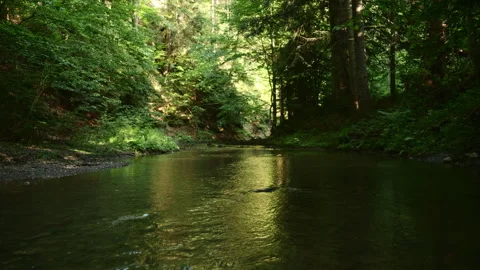 Fresh cold mountain river at sunny summer morning Stock Footage 331565797