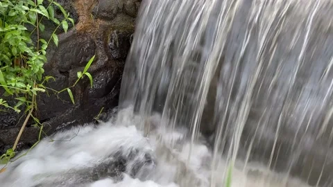 Fresh cold water flowing through canal to Rice Farms. Soil moistening system Stock Footage 220854250