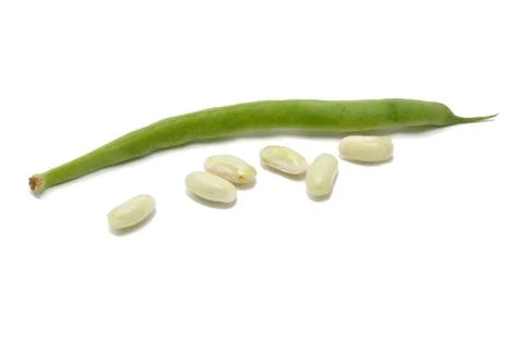 Fresh common beans on white background Stock Photos