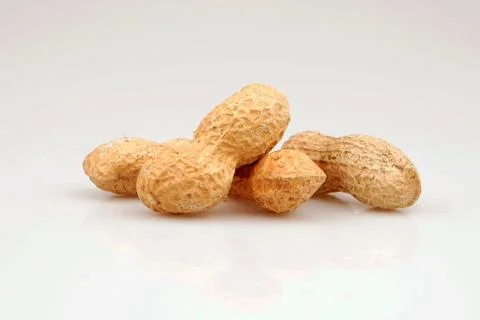 Fresh composition from nuts on the white isolated background Stock Photos