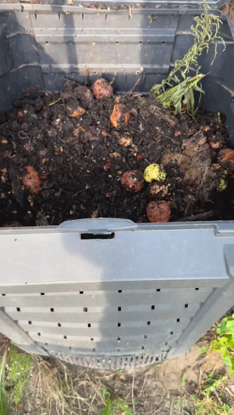 Fresh compost made of kitchen and garden leftovers, necessary in gardening. Stock Footage 281202437
