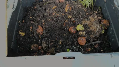 Fresh compost made of kitchen and garden leftovers, necessary in gardening. Stock Footage 281202556