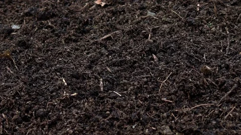 Fresh compost soil with movement 4k 30fps video Stock Footage 267129490