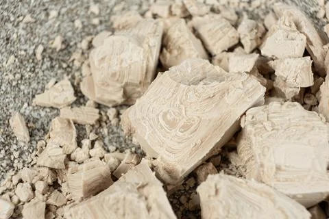 Fresh Compressed Yeast Brick for Baking 写真素材