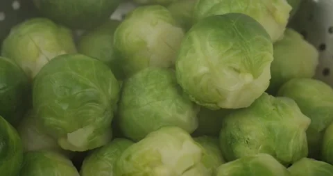 Fresh cooked brussels sprouts steaming Stock Footage 153358556