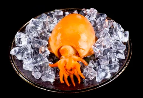 Fresh Cooked Cuttlefish. Stock Photos