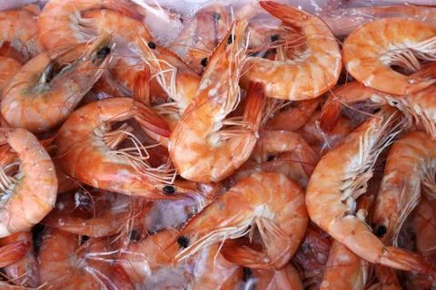Fresh cooked prawns Stock Photos