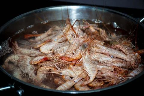 Fresh  cooked  prawns/shrimps   in  pot   boiling Foto stock