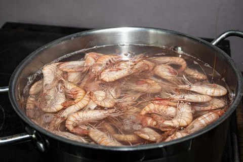 Fresh  cooked  prawns/shrimps   in  pot   boiling Stock Photos
