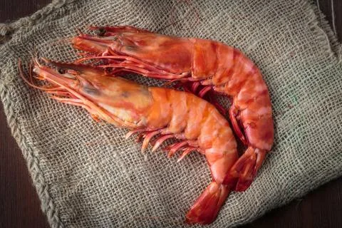 Fresh cooked shrimp Stock Photos