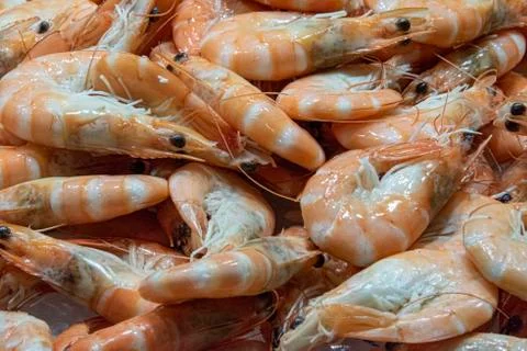 Fresh cooked tiger prawns Stock Photos