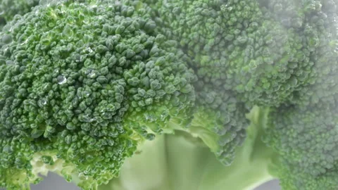 Fresh cooled Broccoli in the fridge. Raw organic vegetables food. Stock Footage 150616954