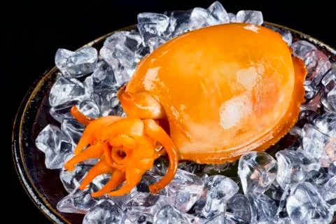 Fresh Coooked Cuttlefish. Stock Photos