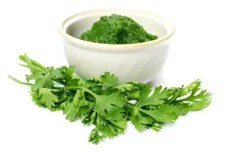 Fresh coriander Stock Photos