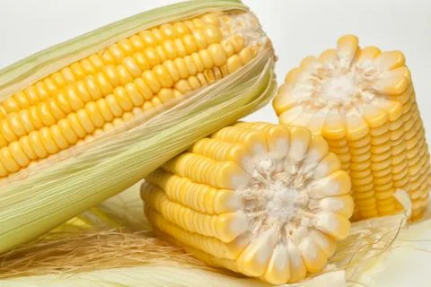 Fresh corn background Stock Photos