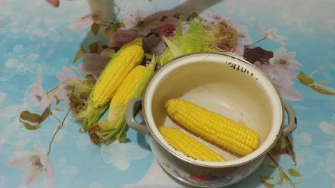 Fresh corn. Boiling corn cobs 스톡 동영상 134344910