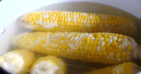 Fresh corn boiling in a giant pot ready for dinner Stock Footage 207340312