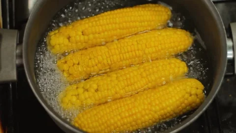 Fresh corn boiling in a pot Stock Footage 285617575