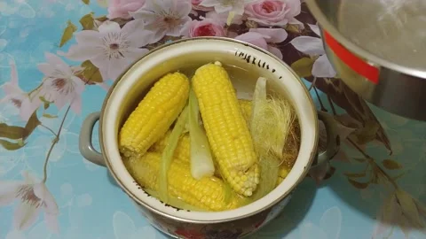 Fresh corn in bowl. Boiling corn cobs Stock Footage 134344935