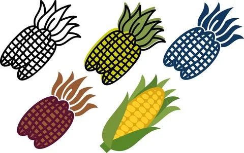 Fresh corn cob and maize harvest graphic icon set Stock Illustration