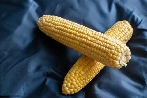 Fresh corn on the cob on a dark background close up Stock Photos