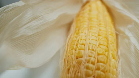 Fresh corn on the cob Stock Footage 197557557