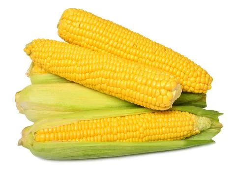 Fresh corn cob isolated on white background Stock Photos