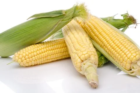 Fresh corn cob 스톡 사진